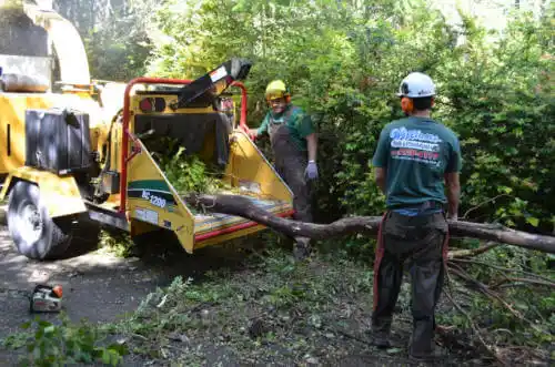 tree services Shell Rock